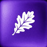 BLAD logo